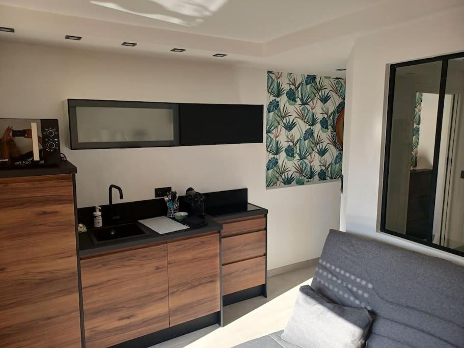 Cap'Nomad Studio Cote Port - Terrasse - Piscine - Parking Agde Exterior photo
